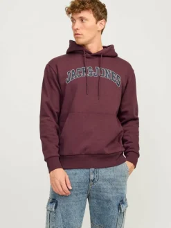 Logo Hoodie
