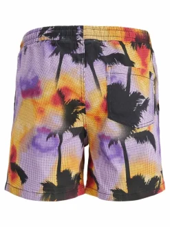 Regular Fit Shorts