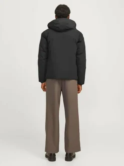 Softshell jacket