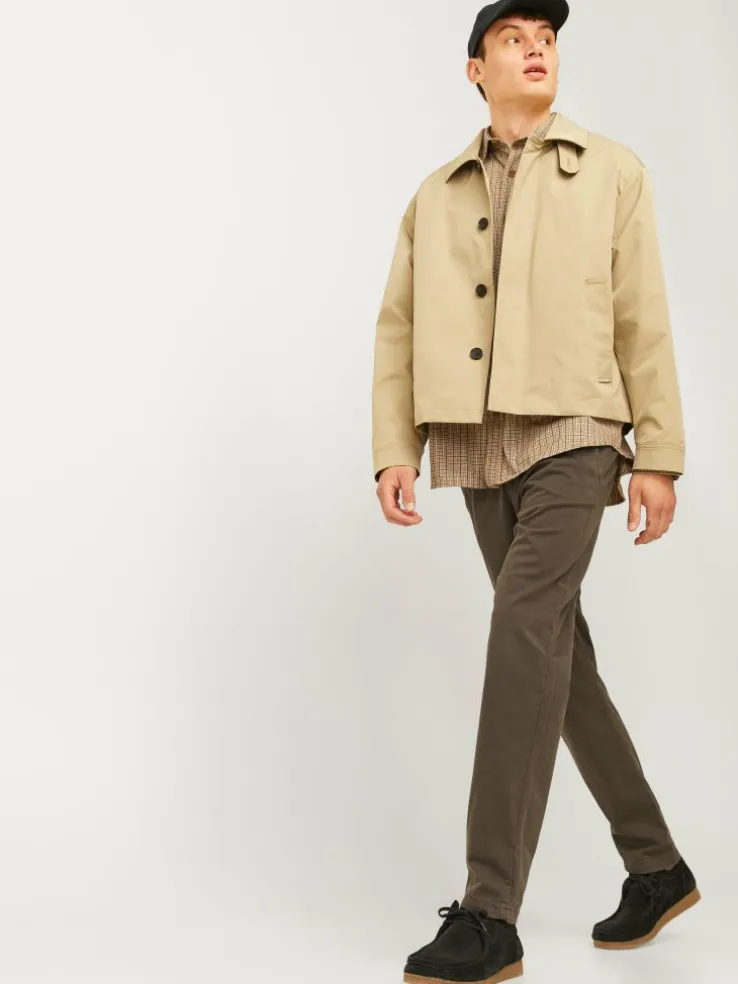 Tapered Fit Chino pants
